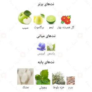ادکلن مردانه امیز اجمل