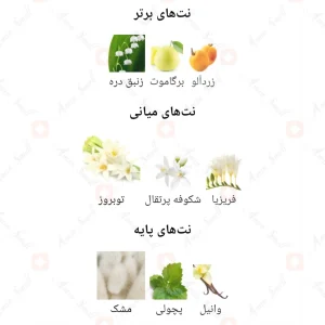 ادکلن زنانه اوث اجمل