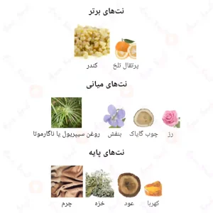 ادکلن یونیسکس اینسنس اجمل