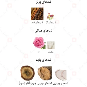 ادکلن یونیسکس امبر وود اجمل