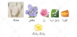 ادکلن یونیسکس ویولت ماسک اجمل