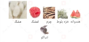 ادکلن یونیسکس کویر ماسک اجمل