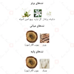ادکلن یونیسکس کویر اجمل