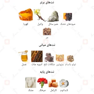 عطر مردانه استیشن الرحاب 6 میل