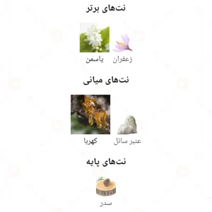 عطر مردانه چلسی من الرحاب 6 میل