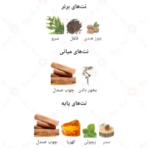 ادکلن یونیسکس آمبر سانتال اجمل 