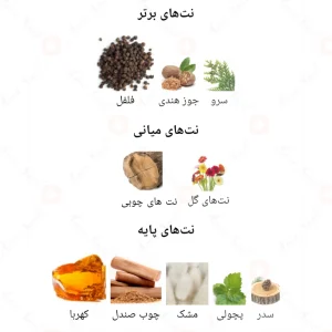 ادکلن یونیسکس امبر پوآور اجمل