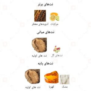 ادکلن یونیسکس امبر وود نویر اجمل