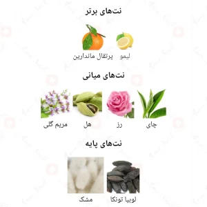 ادکلن مردانه اوتوپیا اجمل