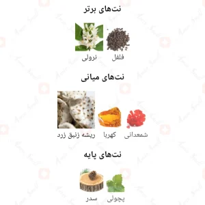 ادکلن مردانه اووک گلد اجمل