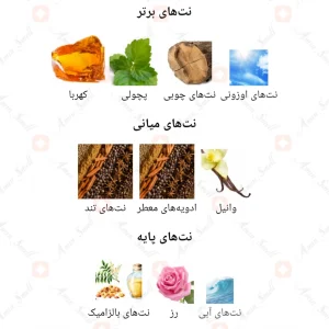  ادکلن مردانه تراثی براون افنان