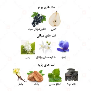 ادکلن زنانه الحیاة حلوة الرحاب 50 میل