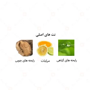 ادکلن مردانه اوشن بریز الرحاب 50 میل