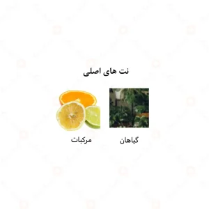 ادکلن یونیسکس عود الرحاب 50 میل