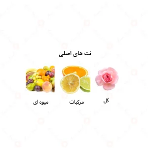 ادکلن زنانه الغالیه الرحاب 50 میل