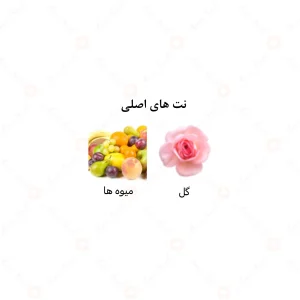 ادکلن زنانه امباسادور الرحاب 50 میل
