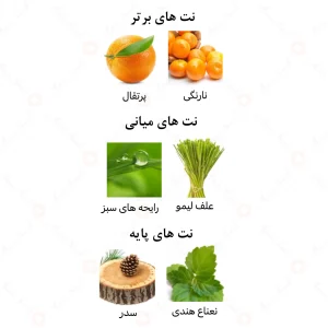 ادکلن مردانه بلک هورس الرحاب 50 میل