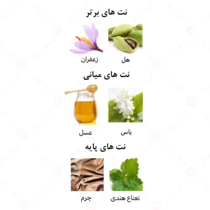 ادکلن زنانه جولدن دریمز الرحاب 50 میل