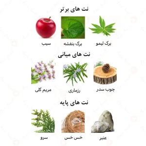  ادکلن زنانه دایموند الرحاب 50 میل