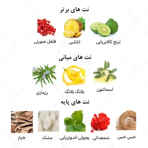ادکلن یونیسکس ذِکریٰ الرحاب 50 میل