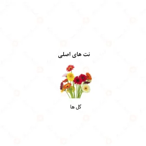 ادکلن یونیسکس فول الرحاب 50 میل