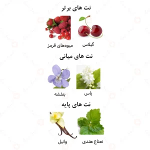 ادکلن زنانه لاندن گرل الرحاب 50 میل