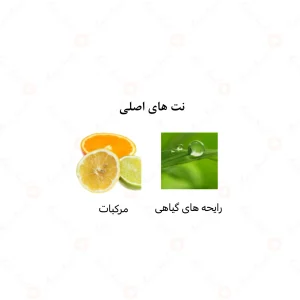  ادکلن مردانه لورد الرحاب 50 میل
