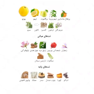  ادکلن مردانه مدل لئو د پرفیوم پور هوم جانوین
