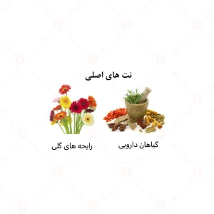 ادکلن زنانه میرا الرحاب 50 میل