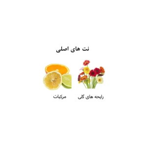ادکلن یونیسکس چمپیون بلک الرحاب 50 میل