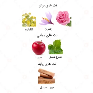ادکلن مردانه چَمپیون الرحاب 50 میل