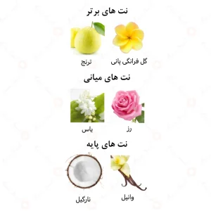 ادکلن زنانه گلوینگ نایت الرحاب 50 میل