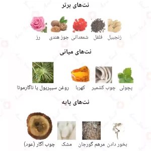 ادکلن یونیسکس امیر 2 اجمل