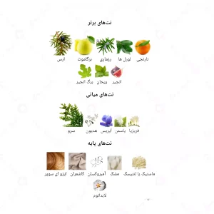 ادکلن یونیسکس اسنتریک مولکول 05 جانوین