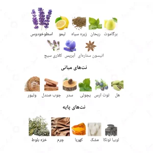 ادکلن مردانه آزور پور هوم جانوین