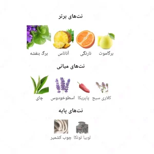  ادکلن مردانه آزور جانوین 