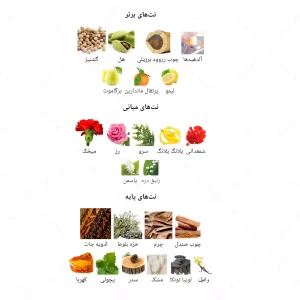 ادکلن مردانه د فنس جانوین