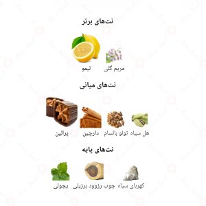 ادکلن مردانه بلک جانوین