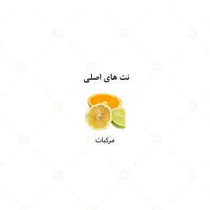  عطر مردانه اوريجينال الرحاب 6 میل