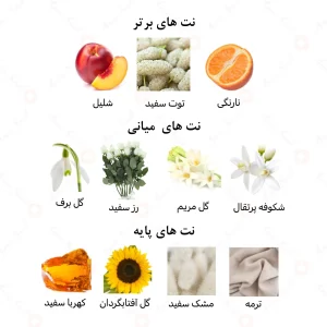 عطر یونیسکس بلانک الرحاب 6 میل