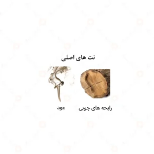 عطر زنانه بلقیس الرحاب 6 میل