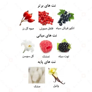 عطر یونیسکس توتی مسک الرحاب 6 میل