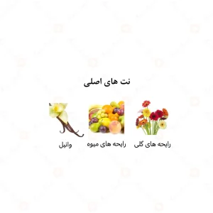  عطر زنانه ساندرا الرحاب 6 میل