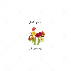 عطر زنانه سکرت لیدی الرحاب 6 میل