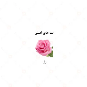 عطر یونیسکس ورد طائفی الرحاب 6 میل