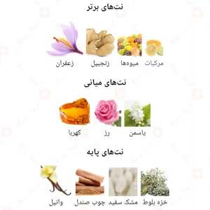 ادکلن یونیسکس مونترا اینستنت لاو فراگرنس ورد