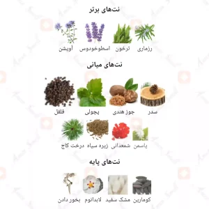 ادکلن مردانه اورلن دریک