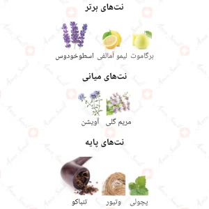 ادکلن مردانه اپن راجر اند گالت