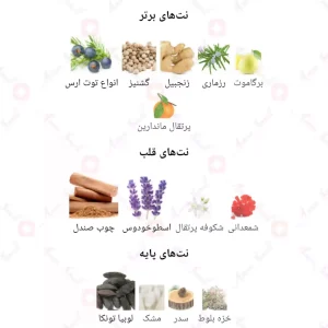 ادکلن مردانه پرسیوس الحرمین
