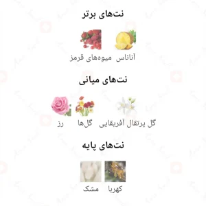 ادکلن یونیسکس دالیانا اکسکلوسیو کالکشن کرانفورد